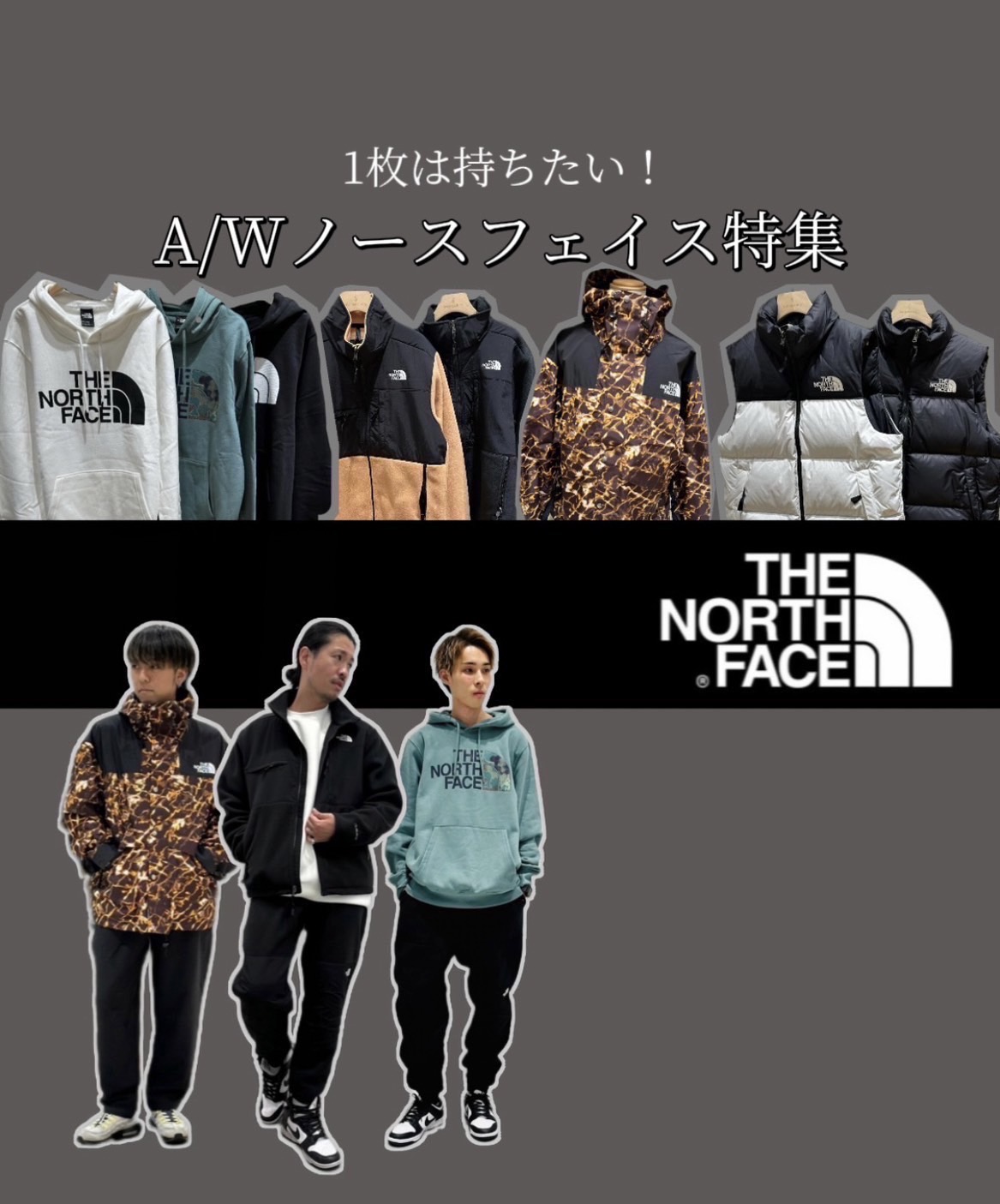 THE NORTH FACE 特集 | ashley＆bros | ashley＆bros